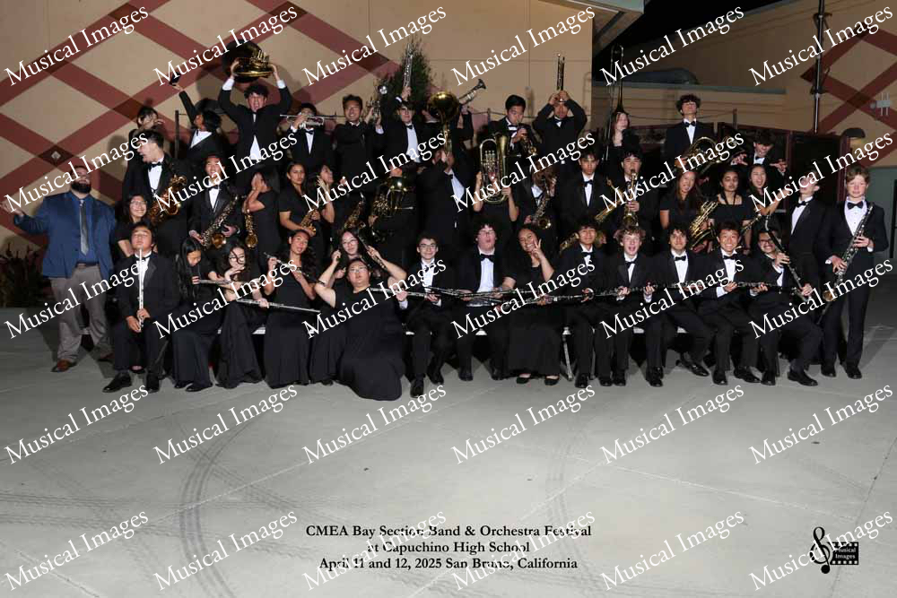 Musical Images